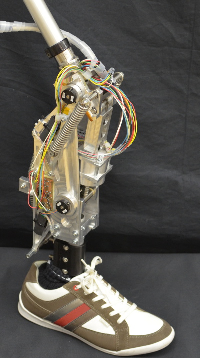 Prosthetic Control – Sensory-Motor Systems Lab | ETH Zurich