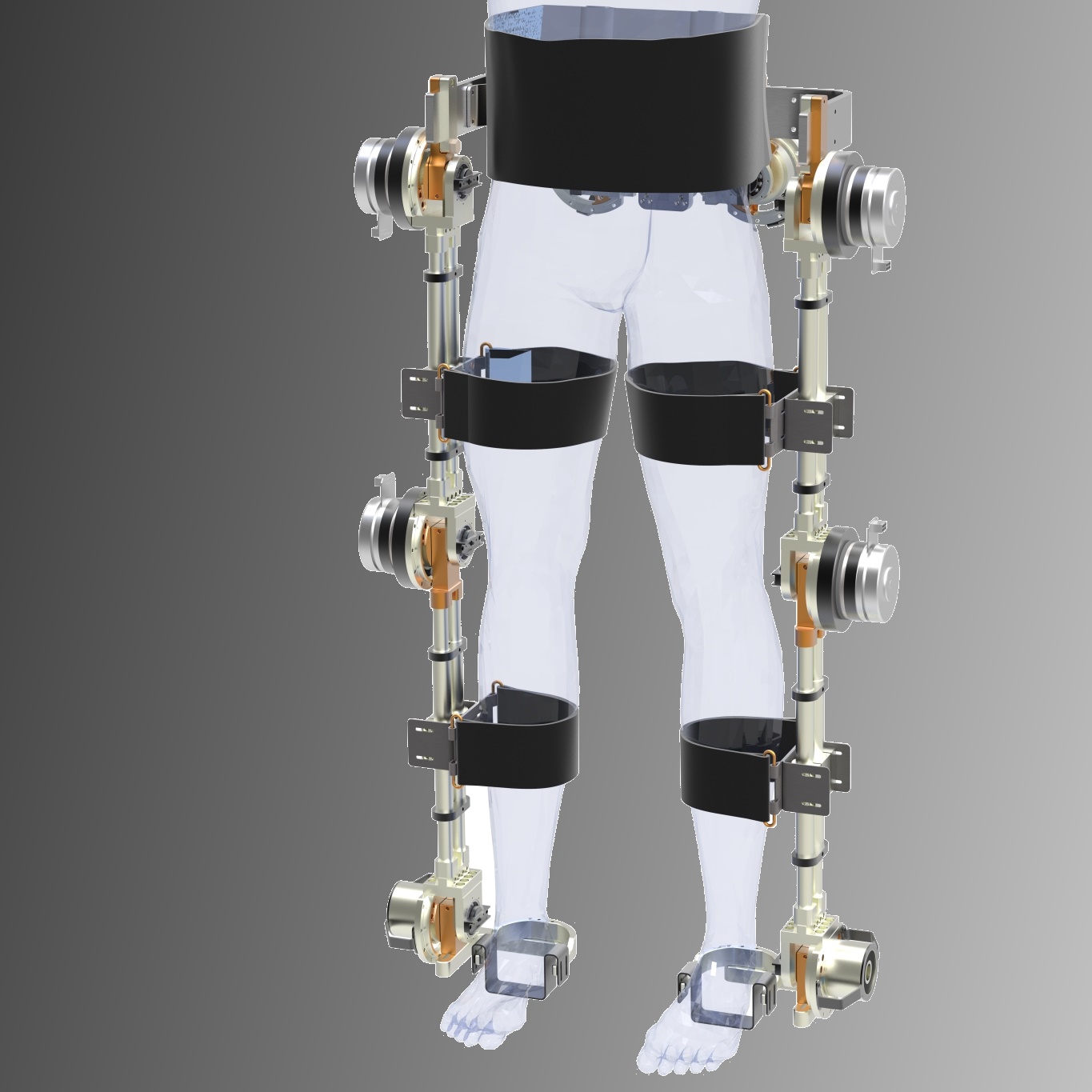 Enlarged view: a fully articulated lower limb exoskeleton create out of the components of the modular exoskeleton