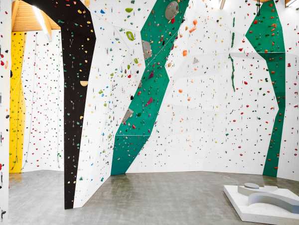 Enlarged view: Climbing wall with a variety of grips